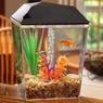 AquaView 1-Gallon Aquarium Tank Starter Kit