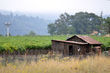 Napa / Sonoma Coupons