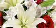 The Enchanted Florist Coupons  Deals