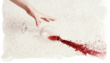 Express Dry Carpet Cleaning Coupons Rockville, MD Deals