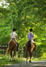 Ride the Wind Stables Coupons Rosenberg, TX Deals