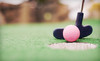 Hereford Golf Center Coupons Parkton, Maryland Deals
