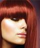 Hair By Nick Coupons Sherman Oaks, CA Deals