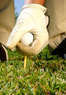 Heron Lakes Golf Course Coupons Houston, TX Deals