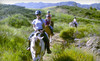 Park Place Stable Coupons Malibu, California Deals