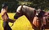 Equine Escapes Coupons Issaquah, Washington Deals