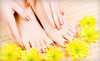Shampoo Salon  Coupons Palm Beach, Florida Deals