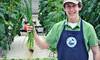 Water Fresh Farm Coupons Hopkinton, Massachusetts Deals