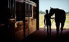 Concord Ridge Equestrian Center Coupons St. Joseph, Michigan Deals