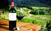 Wine Up! Wine Merchants Coupons Portland, Oregon Deals