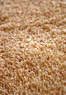 Cleaning Solutions Carpet Cleaning Coupons  Deals