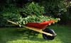 Barry's Home and Commercial Repair Coupons  Deals