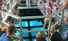 Key Largo Princess Coupons Key Largo, Florida Deals