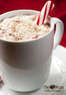 The Bean Coffee Company Coupons  Deals