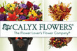 Calyx Flowers - November 2012 Coupons Chatham, MA Deals