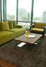 Plush Carpet Care Coupons  Deals