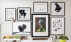Art.com Coupons  Deals