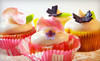 The Cake Professor Coupons Columbia, South Carolina Deals
