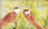 Malibu Discovery Tours Coupons  Deals