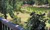 Treehouse Vineyards Coupons Monroe, North Carolina Deals