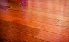 Ace Carpet Cleaning Coupons  Deals