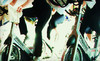 Blazing Saddles Indoor Cycling Coupons Sherman Oaks, California Deals
