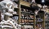 The Evolution Store Coupons New York, New York Deals