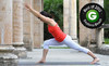 Hot House Yoga Coupons Ormond Beach, Florida Deals