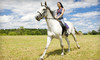 Fun With Horses Coupons Anaheim, California Deals