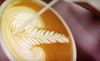 Black Bike Cafe Coupons Portland, Oregon Deals