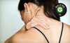Terrapin Care Center Coupons College Park, Maryland Deals