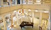 Lightner Museum Coupons St. Augustine, Florida Deals