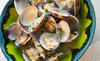 Little New Orleans Kitchen & Oyster Bar Coupons Orlando, Florida Deals