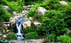 Quarryhill Botanical Garden Coupons Glen Ellen, California Deals
