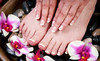 Hair and Nails by Christopher Anthony Coupons Orlando, Florida Deals