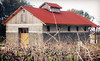 Amador Cellars Coupons Plymouth, California Deals