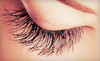 Lashes by BL Coupons Sausalito, California Deals