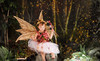 Positive Vista Photography & Art Coupons Santa Cruz, California Deals