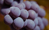 Sheppard Wine Works Coupons Toronto, Ontario Deals