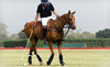 The Dallas Polo Club Coupons Red Oak, Texas Deals