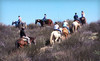 Green Acres Ranch Coupons Temecula, California Deals