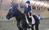 A&T Equestrian Coupons Surrey, British Columbia Deals