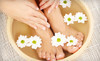 Miyuko Nails Coupons Richmond, California Deals