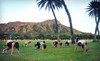 Hi Life Athletics Coupons Honolulu, Hawaii Deals