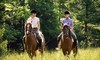Seaton Hackney Stables Coupons Morristown, New Jersey Deals