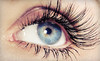 Eve's Hair Gallery Coupons Columbia, Maryland Deals