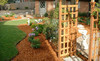 J&D Landscaping & Lawn Care Inc. Coupons  Deals