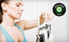 Lecada Medical Artistry Coupons Tampa, Florida Deals