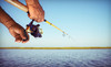 Kawartha Lakes Trout Farm Coupons Lindsay, Ontario Deals