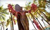 Polynesian Adventure Tours Coupons  Deals